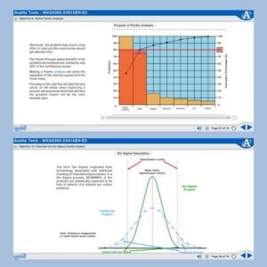MXQS305 Featured Image Showing Pareto Analysis and Six Sigma