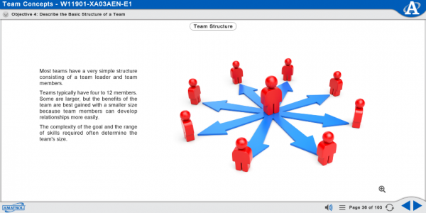 M11901 eLearning Curriculum Sample Describing the Basic Structure of a Team