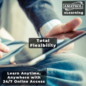 Amatrol eLearning: Total Flexibility Infographic