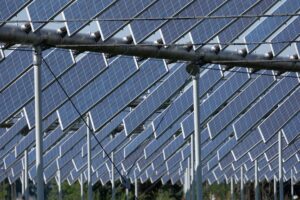 Agrovoltaics farm solar green electric energy article 